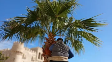 تجهيزات خاصة في قلعة قايتباي لاستقبال الزائرين خلال أيام عيد الفطر المبارك